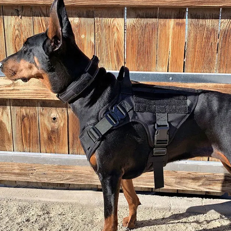 No Pull Adjustable Reflective Tactical Harness for Military Service Dogs - The Grand Bazaar of Australia