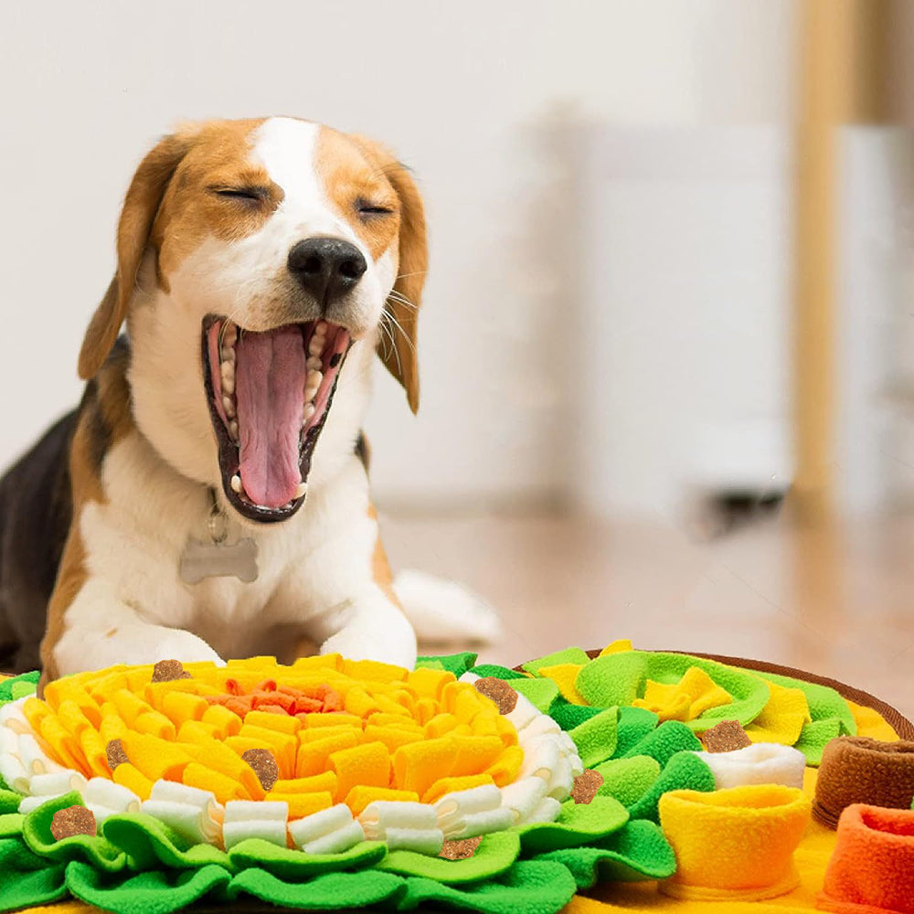PETSWOL Pet Snuffle Mat With Puzzle For Dogs - The Grand Bazaar of Australia