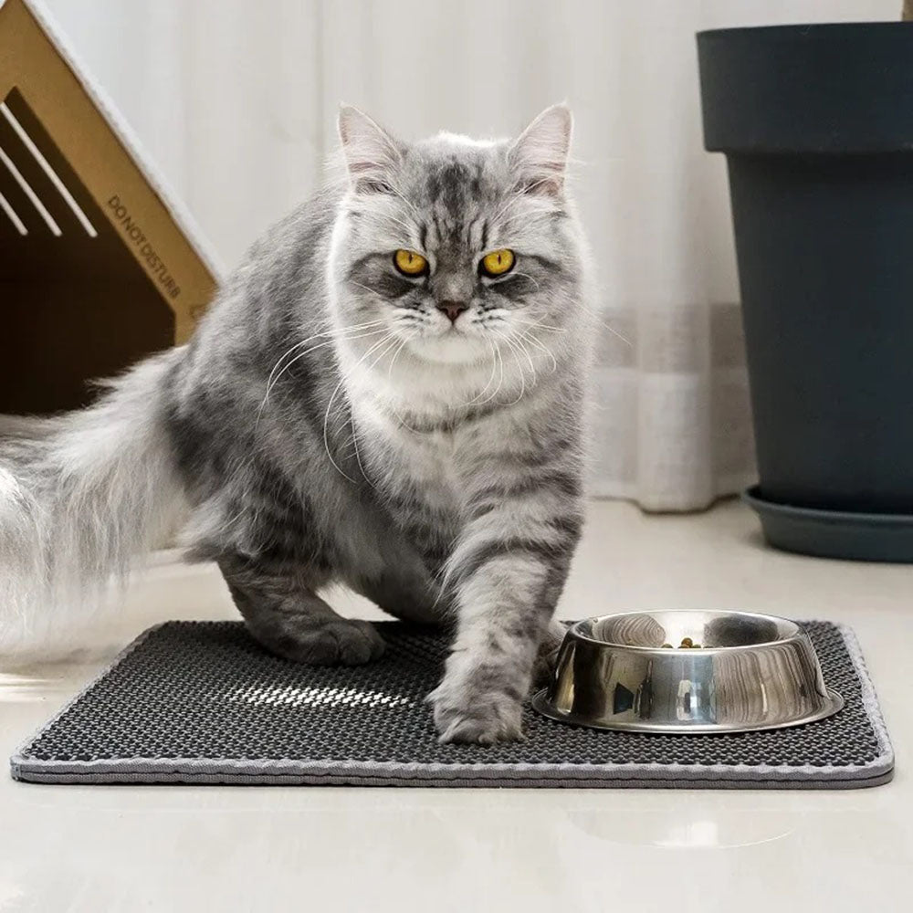 Double Layer Waterproof Cat Litter Mat Non-slip Washable Cat Sand Mat - The Grand Bazaar of Australia