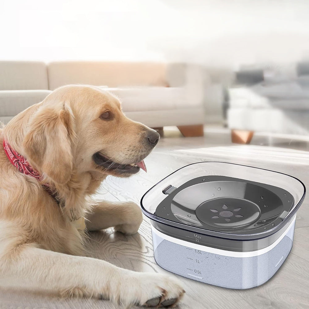 PETSWOL 2L No Spill Dog Bowl | Large Capacity, Slow Water Feeder for Clean and Healthy Drinking - The Grand Bazaar of Australia