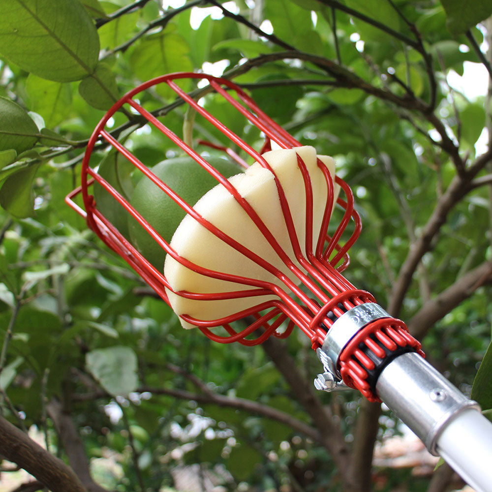 Easy-Pick Fruit Harvester Tool for Orchard and Garden - The Grand Bazaar of Australia
