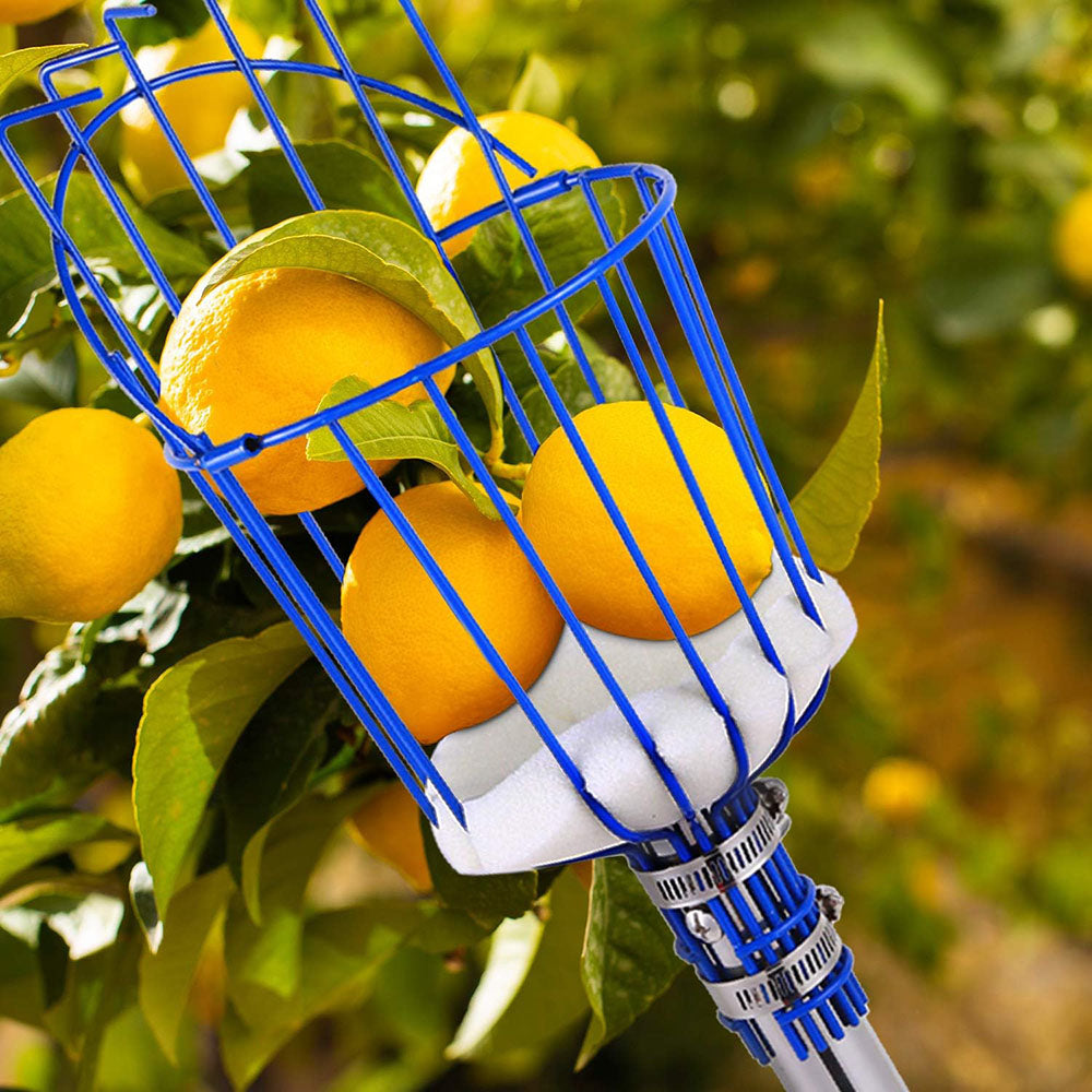 Easy-Pick Fruit Harvester Tool for Orchard and Garden - The Grand Bazaar of Australia