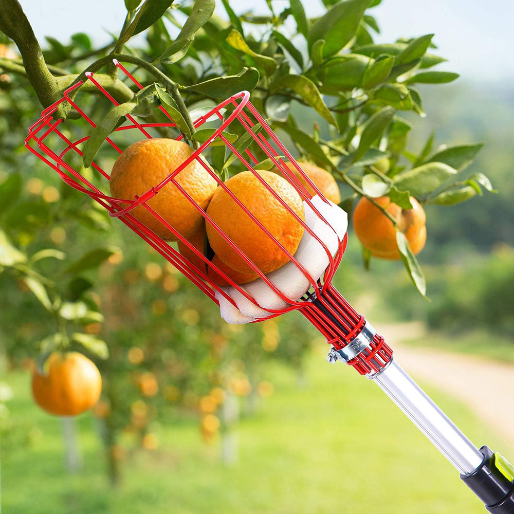 Easy-Pick Fruit Harvester Tool for Orchard and Garden - The Grand Bazaar of Australia