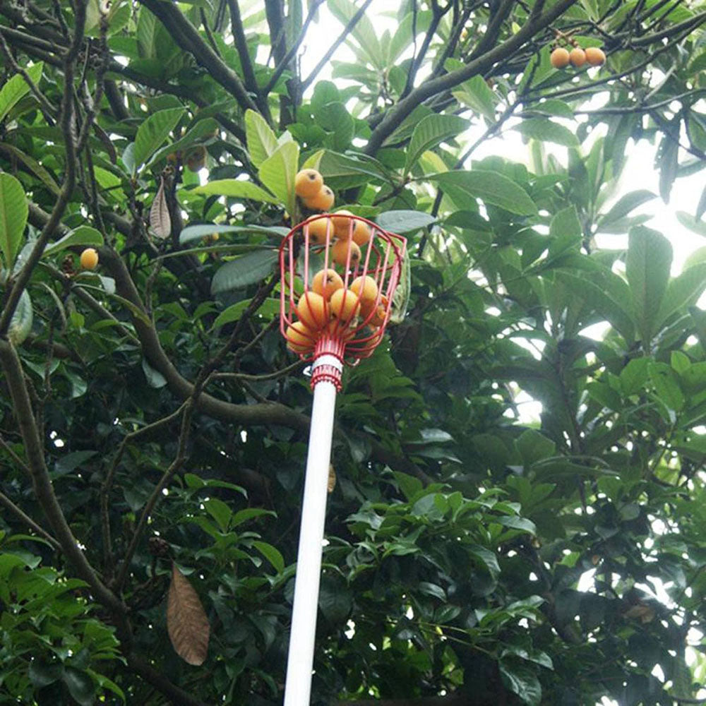 Easy-Pick Fruit Harvester Tool for Orchard and Garden - The Grand Bazaar of Australia