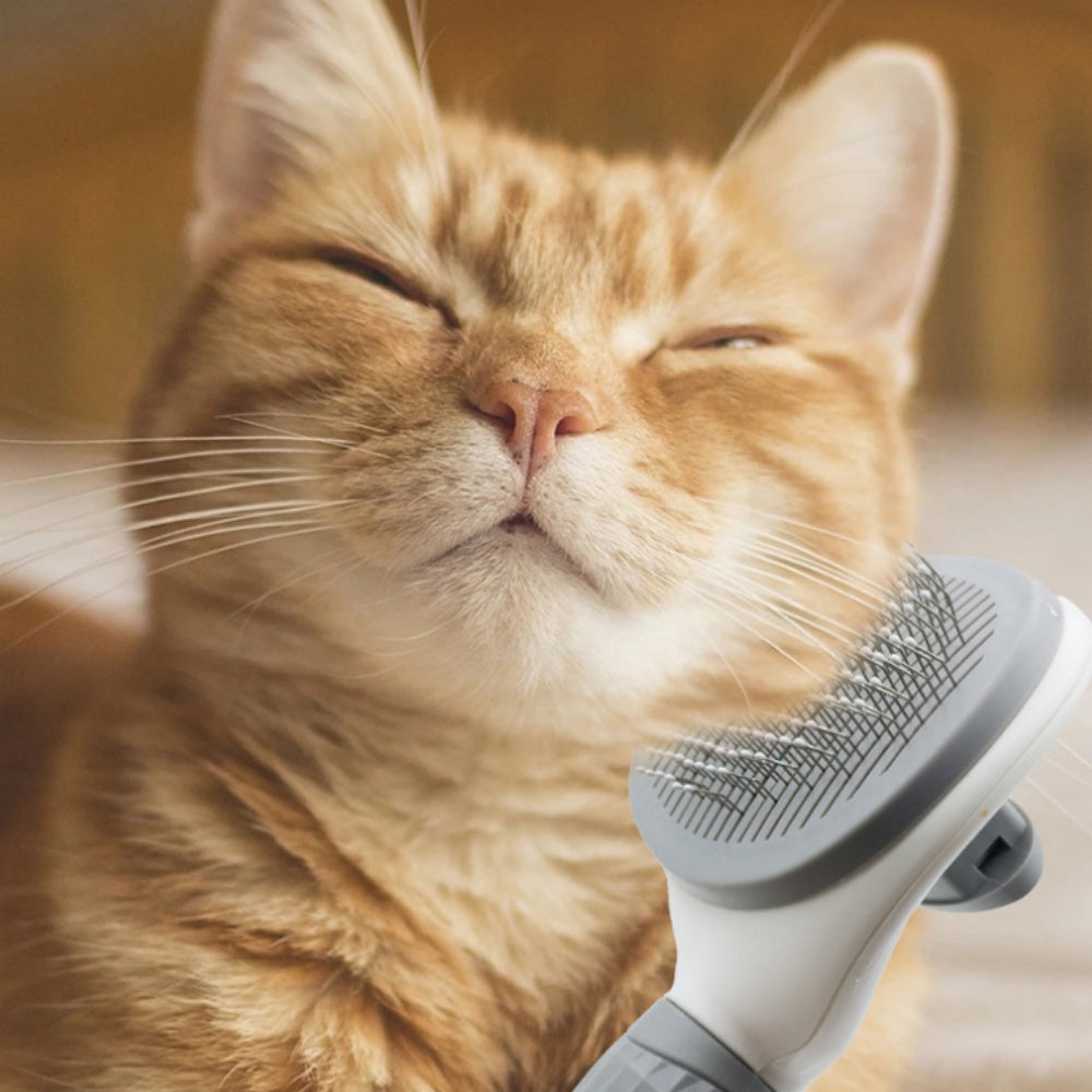 Pet Hair Remover Brush for Dogs and Cats - The Grand Bazaar of Australia