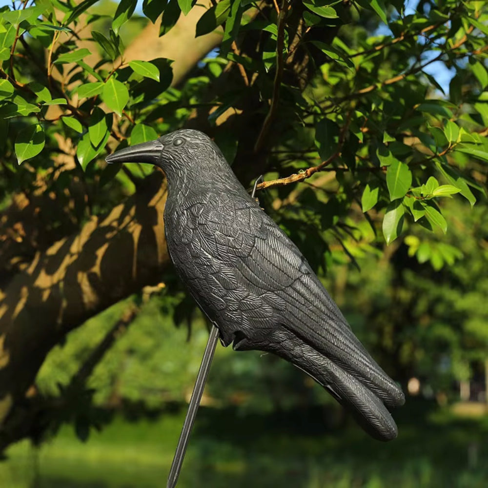 Simulation Black Crow Raven Pigeon Repellent - The Grand Bazaar of Australia