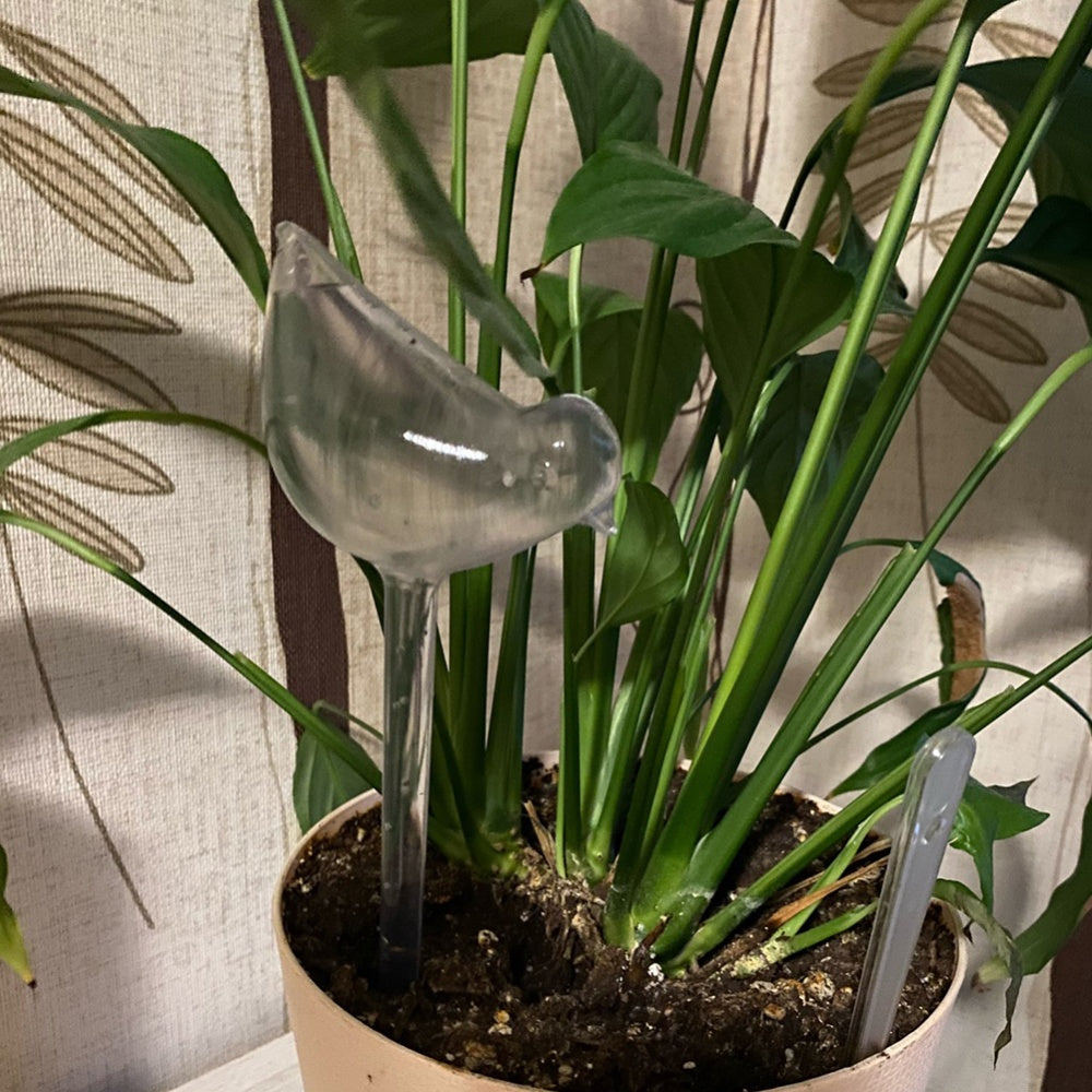 Self Watering Bird Shape Water Device Drip Irrigation System - The Grand Bazaar of Australia