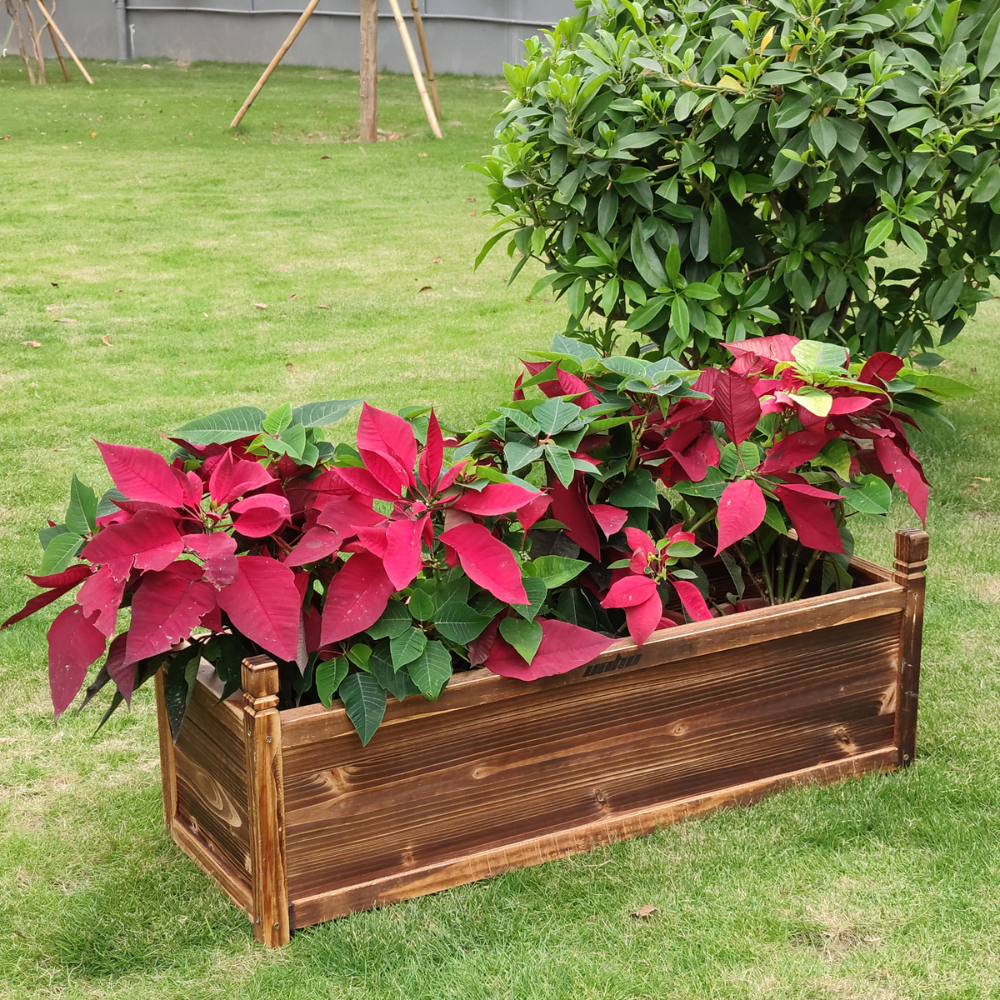 Raised Garden Bed Flower or Vegetable Planter Window Mounted Plant Box - The Grand Bazaar of Australia