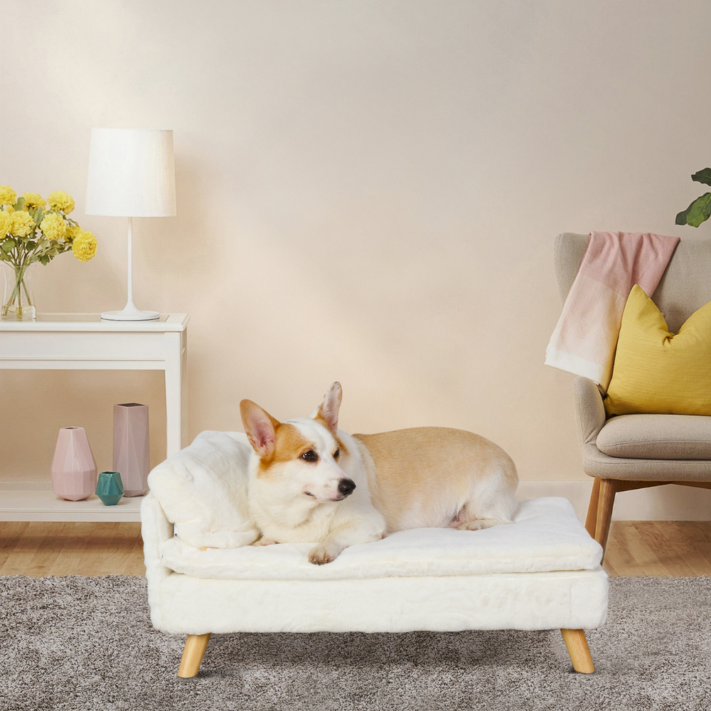 Elevated Pet Bed Nordic Pet Stool Bed with Waterproof Cozy Pad - The Grand Bazaar of Australia