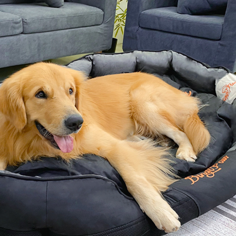 Waterproof Jumbo Orthopedic Sofa Dog Bed Pet Mat Kennel - The Grand Bazaar of Australia