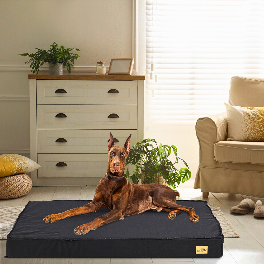 Waterproof Non-Slip Orthopedic Dog Bed for Large Dogs - The Grand Bazaar of Australia