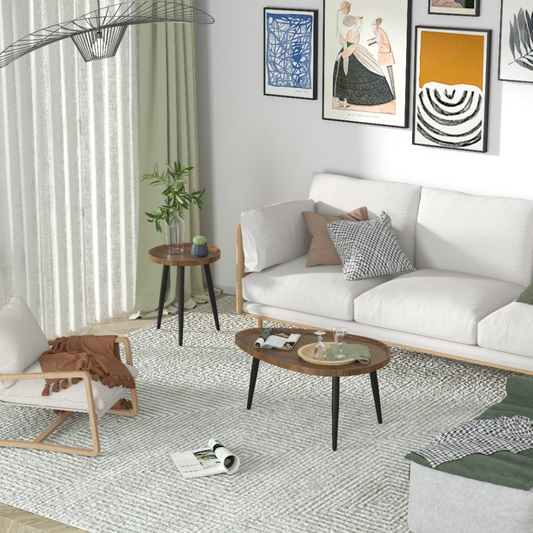 Modern Irregular Drop-shaped Coffee Table Set - The Grand Bazaar of Australia