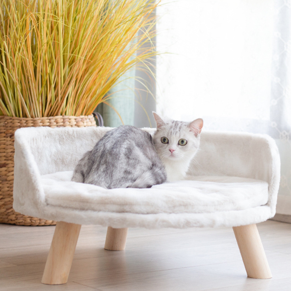 Plush Luxury Cat Bed with Cozy Cushion Pad - The Grand Bazaar of Australia