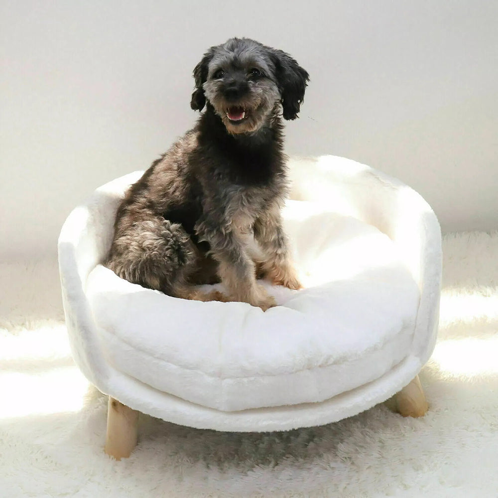 Pet Sofa Bed Raised Cat Chair with Removable Cushion - The Grand Bazaar of Australia