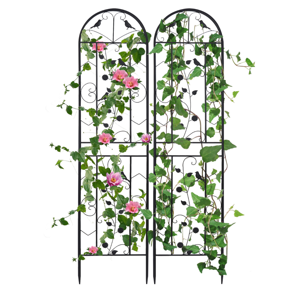2PCS Metal Garden Trellis Fence Anti-Rust Climbing Plant Flower Panels - The Grand Bazaar of Australia
