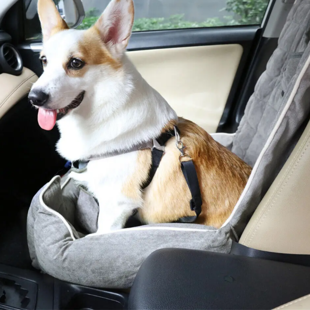 Anti-Slip Pet Booster Seat with Storage Pockets and Safety Leash - The Grand Bazaar of Australia