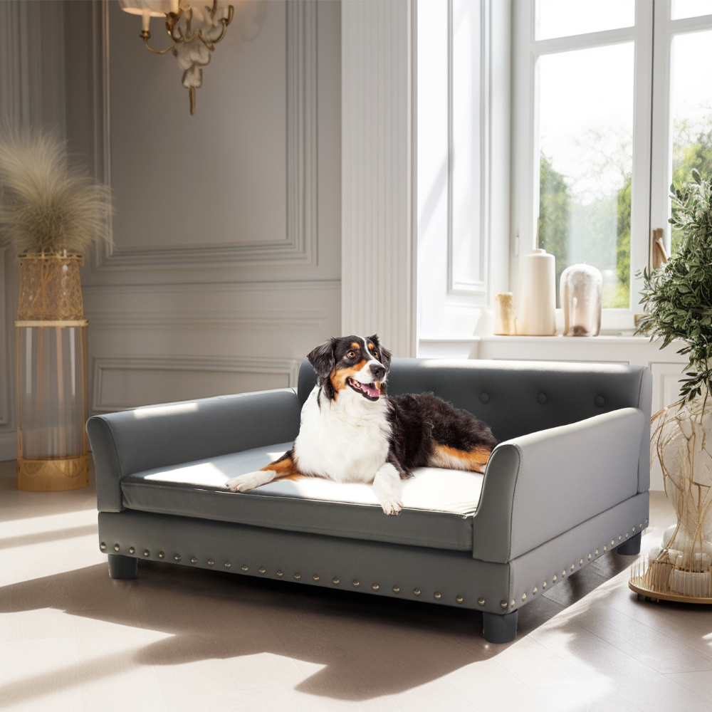 Luxurious Elevated Dog Bed Sofa with Microfiber Leather Cover - The Grand Bazaar of Australia