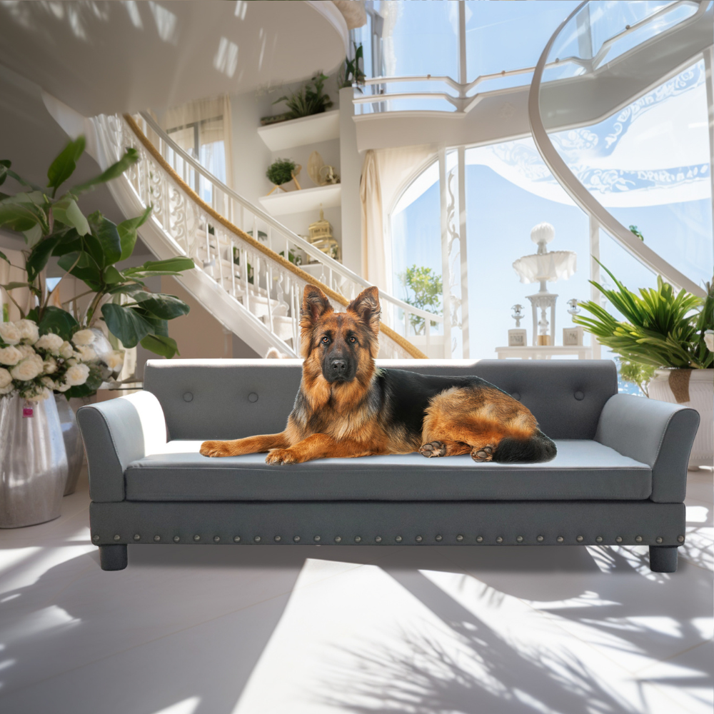 Luxurious Elevated Dog Bed Sofa with Microfiber Leather Cover - The Grand Bazaar of Australia