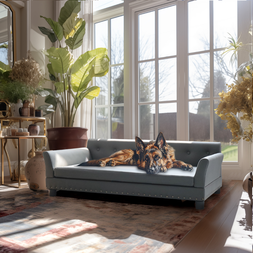 Luxurious Elevated Dog Bed Sofa with Microfiber Leather Cover - The Grand Bazaar of Australia