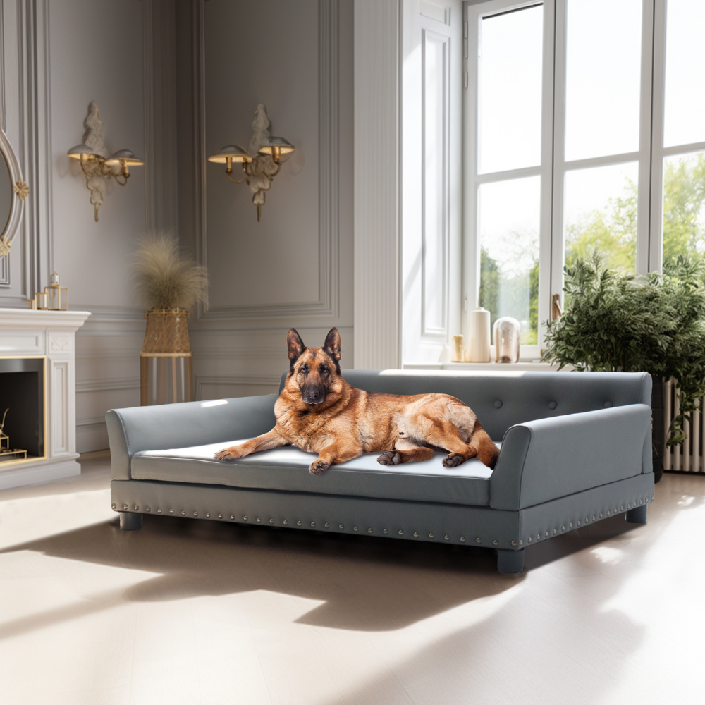 Luxurious Elevated Dog Bed Sofa with Microfiber Leather Cover - The Grand Bazaar of Australia