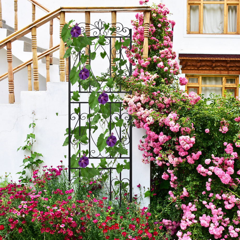 Garden Border Trellis High Metal Climbing Plants Support Trellis - The Grand Bazaar of Australia