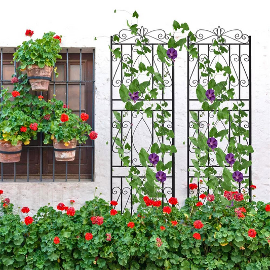 Garden Border Trellis High Metal Climbing Plants Support Trellis - The Grand Bazaar of Australia