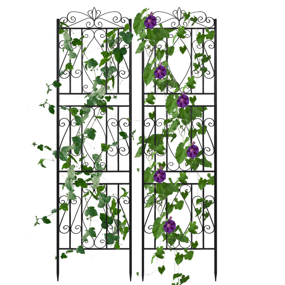 Garden Border Trellis High Metal Climbing Plants Support Trellis - The Grand Bazaar of Australia
