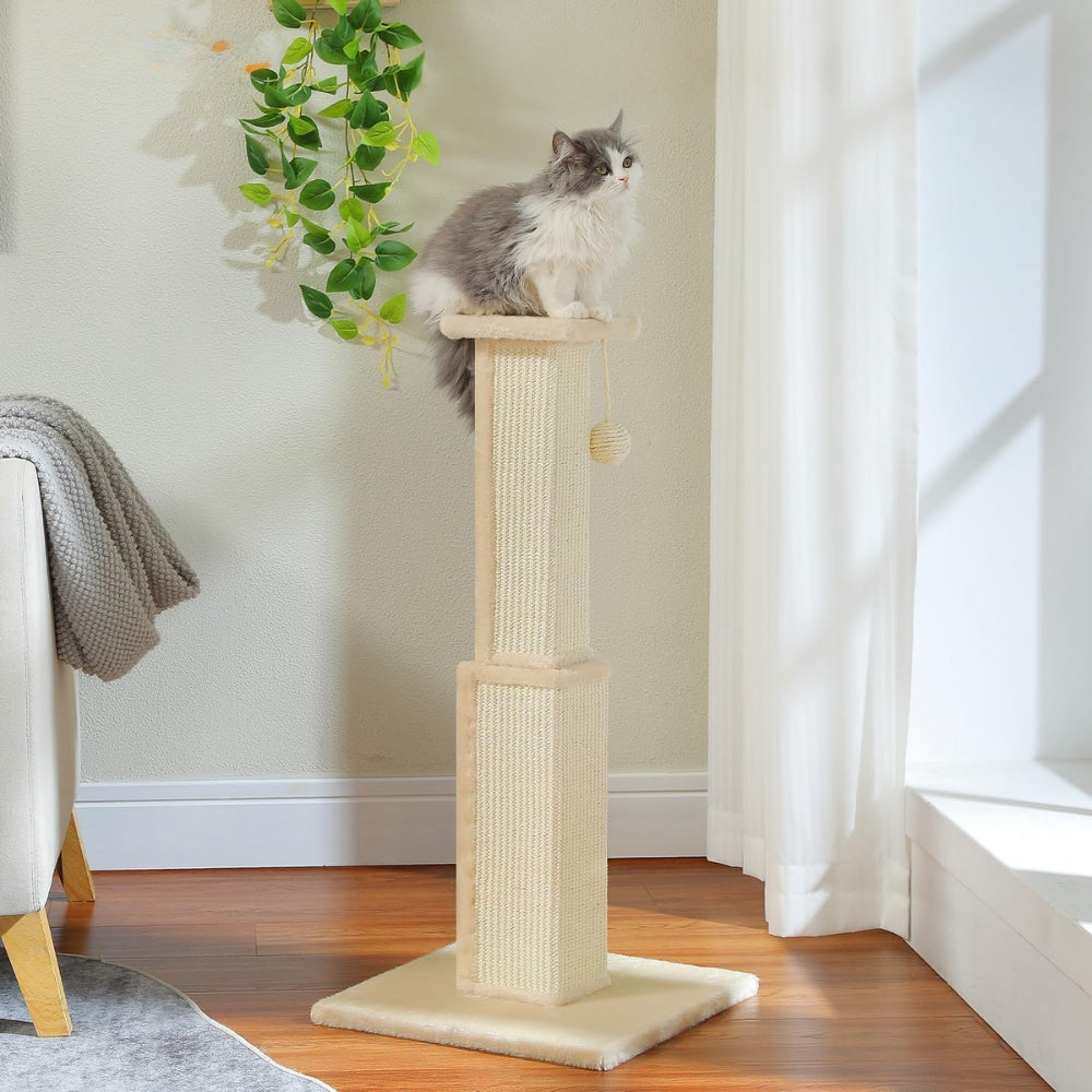80CM Cat Scratching Post for Indoor Cat Scratcher with Nature Sisal Ball - The Grand Bazaar of Australia