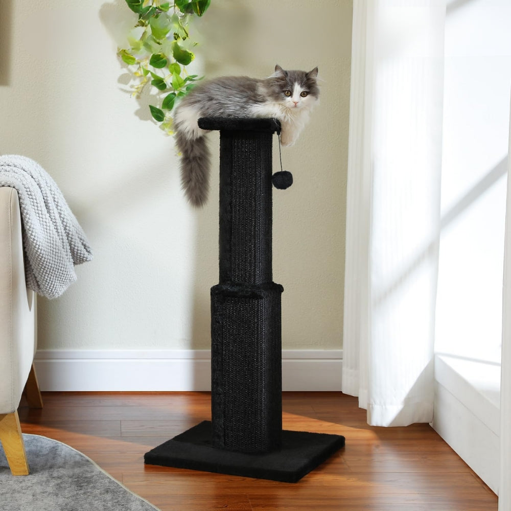 80CM Cat Scratching Post for Indoor Cat Scratcher with Nature Sisal Ball - The Grand Bazaar of Australia