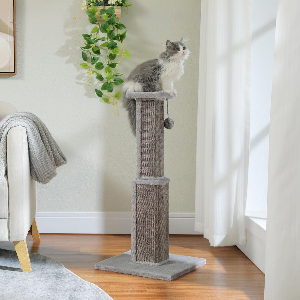 80CM Cat Scratching Post for Indoor Cat Scratcher with Nature Sisal Ball - The Grand Bazaar of Australia
