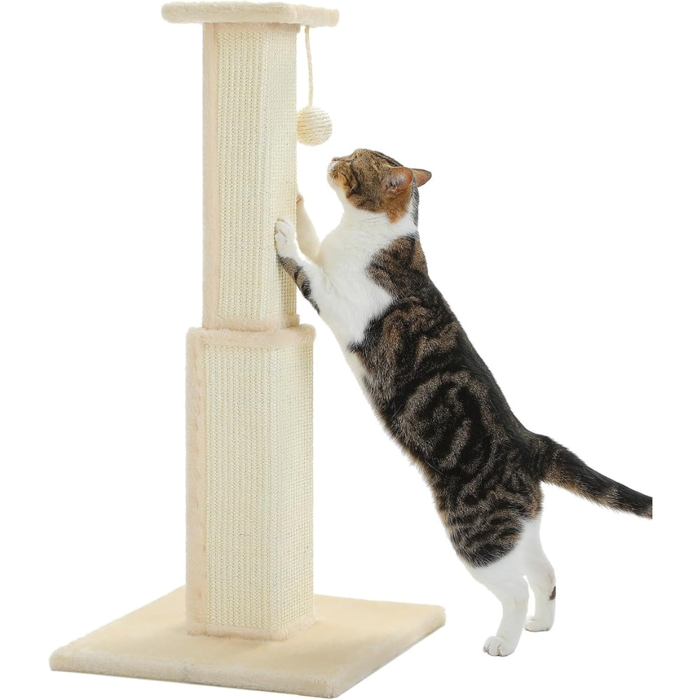 80CM Cat Scratching Post for Indoor Cat Scratcher with Nature Sisal Ball - The Grand Bazaar of Australia