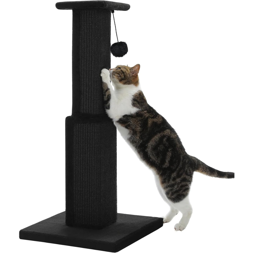 80CM Cat Scratching Post for Indoor Cat Scratcher with Nature Sisal Ball - The Grand Bazaar of Australia