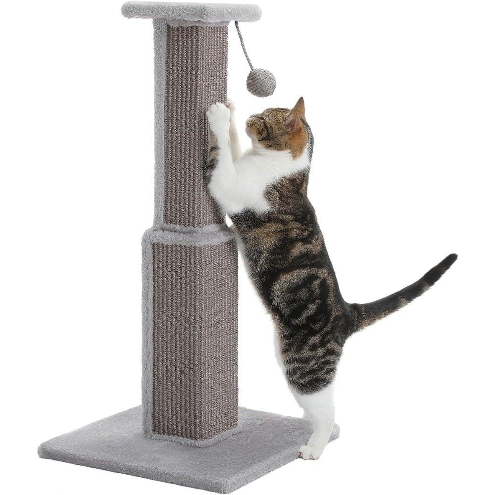 80CM Cat Scratching Post for Indoor Cat Scratcher with Nature Sisal Ball - The Grand Bazaar of Australia