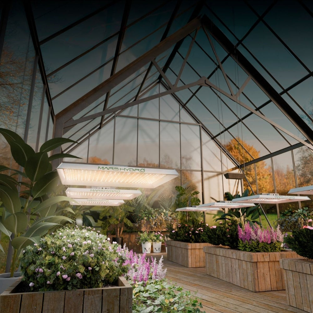 TS 1000 LED Grow Light Full Spectrum - The Grand Bazaar of Australia
