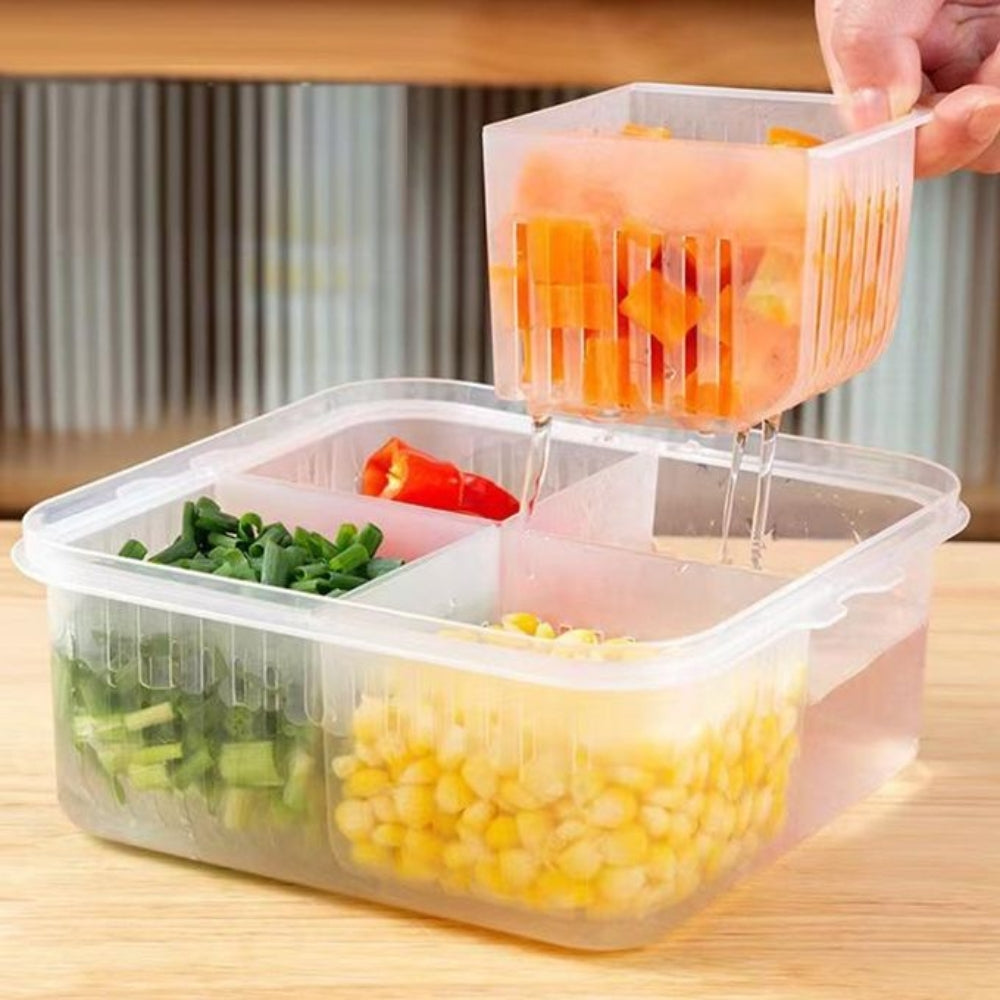 Refrigerator Storage Box 4 and 6 Grids Food Vegetable Fruit - The Grand Bazaar of Australia