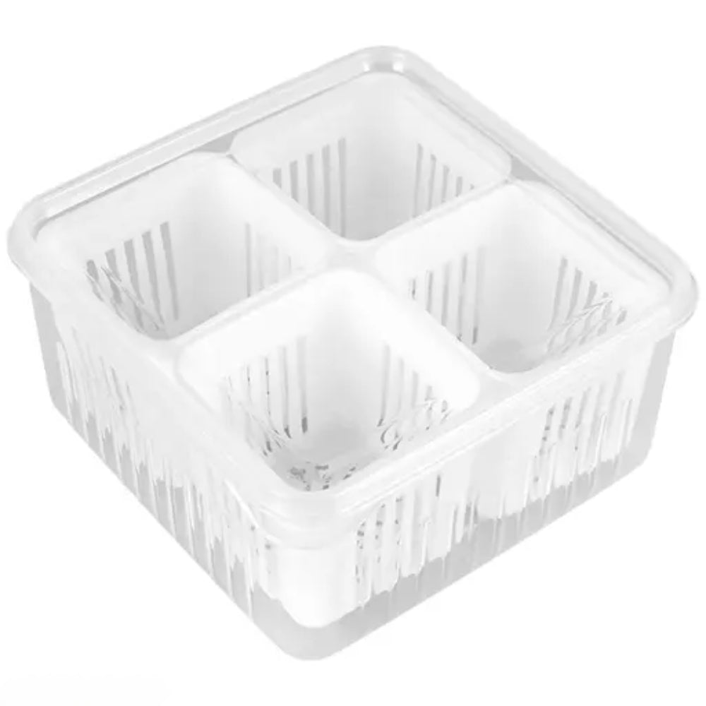 Refrigerator Storage Box 4 and 6 Grids Food Vegetable Fruit - The Grand Bazaar of Australia