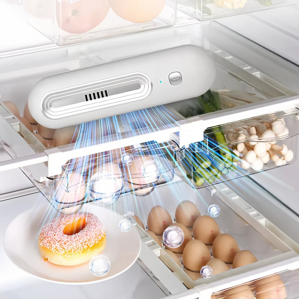 Refrigerator Deodorizer And Purifier for Odor Free Food Storage and Long Shelf Life - The Grand Bazaar of Australia
