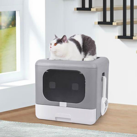 Sleek and Functional Cat Litter Box-Detachable Design - The Grand Bazaar of Australia