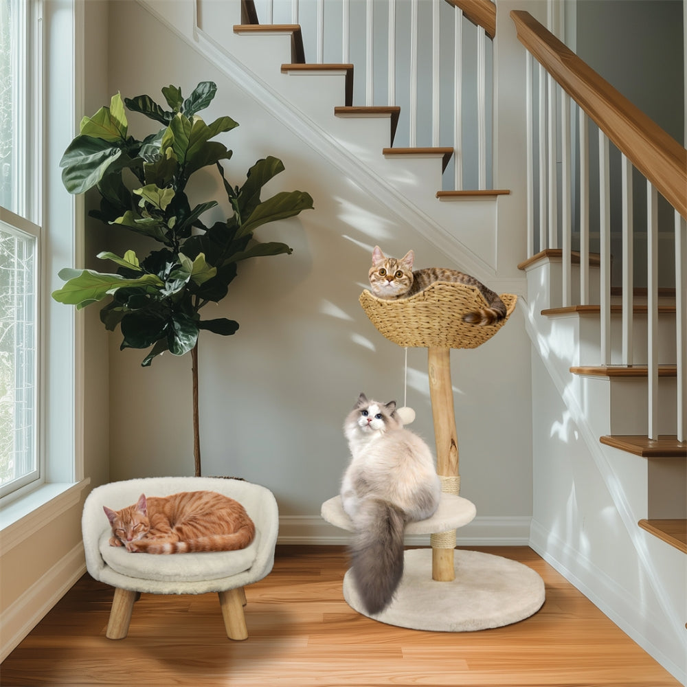 Modern Cat Tree Solid Wood Kitten Scratching Tree Activity Tower - The Grand Bazaar of Australia