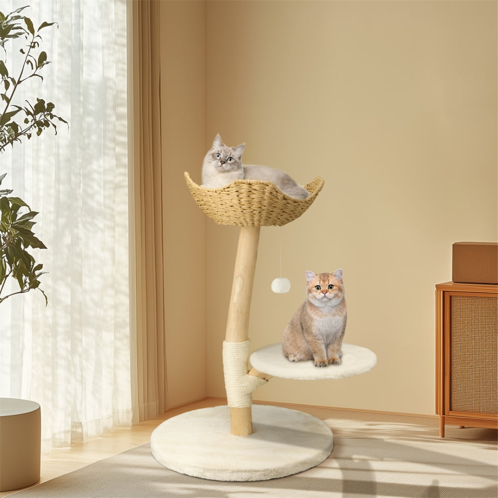 Modern Cat Tree Solid Wood Kitten Scratching Tree Activity Tower - The Grand Bazaar of Australia