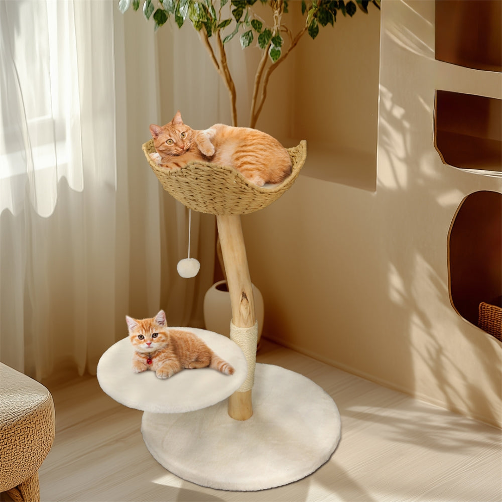 Modern Cat Tree Solid Wood Kitten Scratching Tree Activity Tower - The Grand Bazaar of Australia