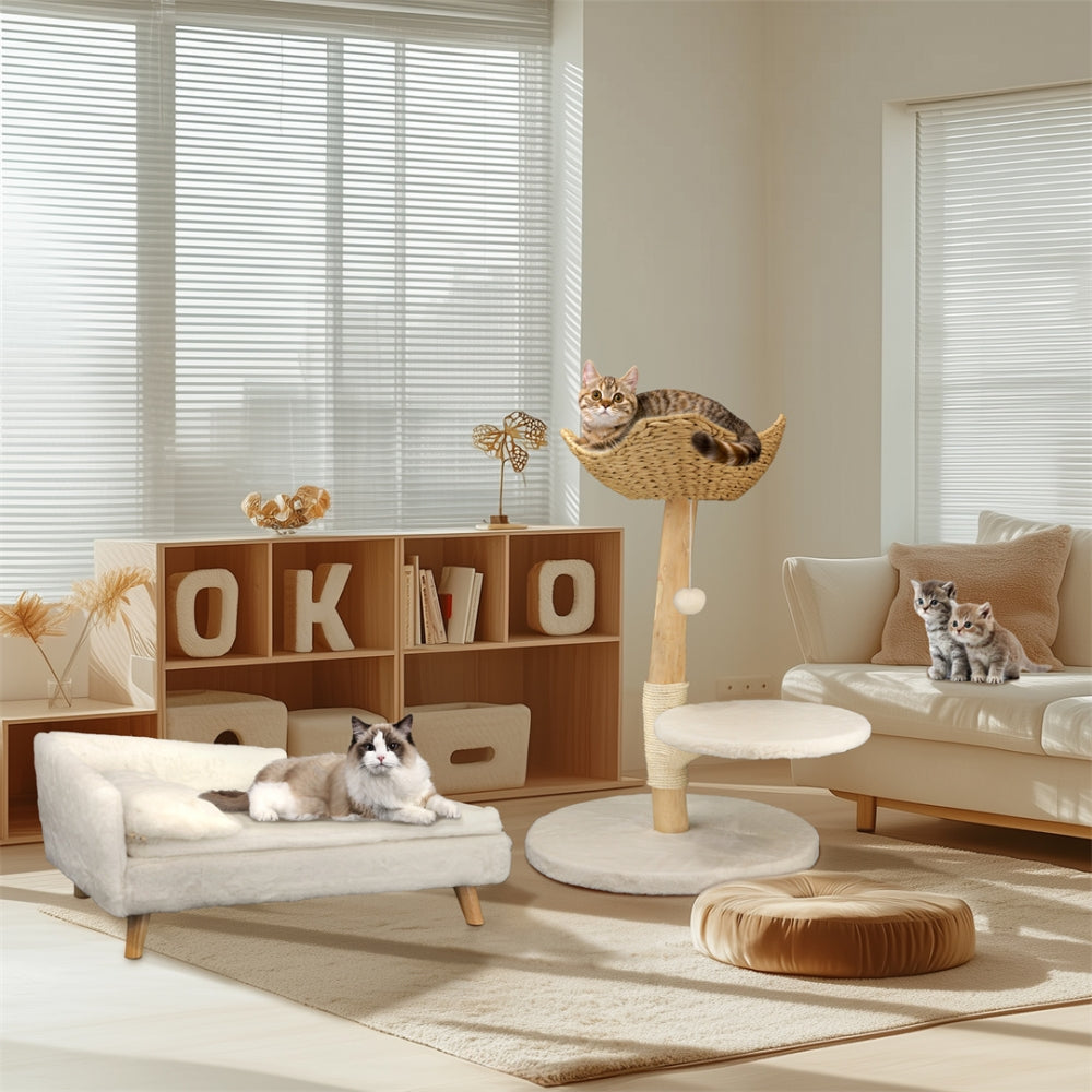 Modern Cat Tree Solid Wood Kitten Scratching Tree Activity Tower - The Grand Bazaar of Australia