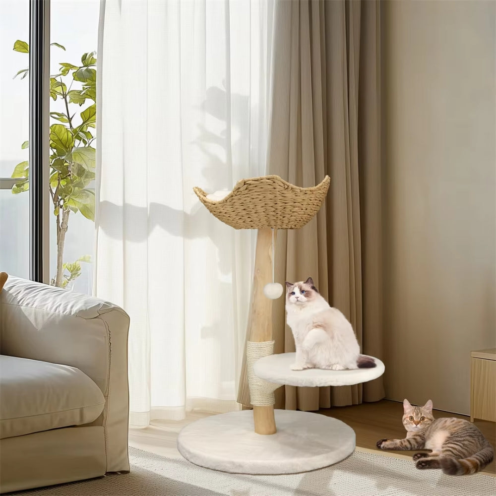 Modern Cat Tree Solid Wood Kitten Scratching Tree Activity Tower - The Grand Bazaar of Australia
