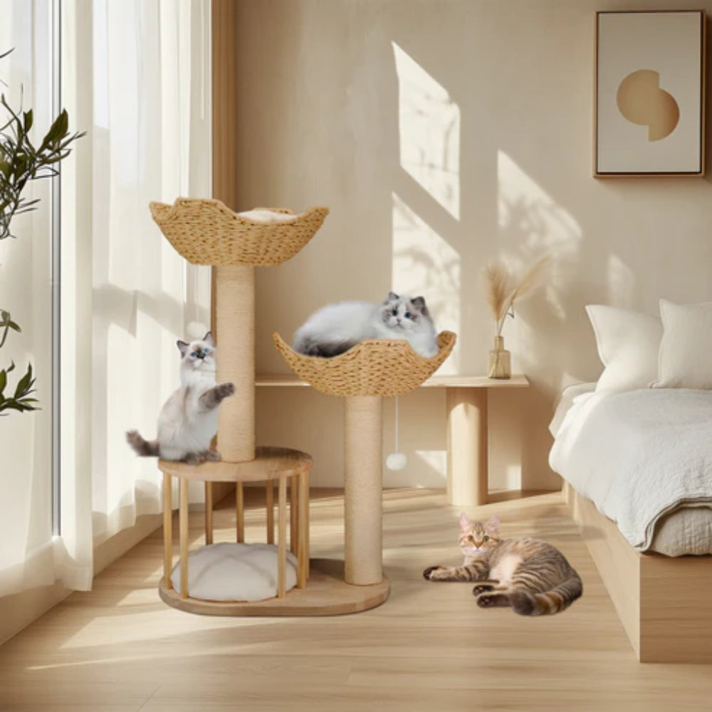 3 Tier Cat Climbing Tree Indoor Kittens Activity Center Tower with Scratching Post - The Grand Bazaar of Australia
