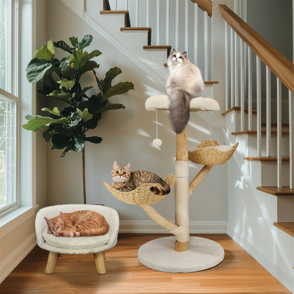 Modern Cat Furniture Climbing Tree Solid Wood Activity Center with Scratching Post - The Grand Bazaar of Australia