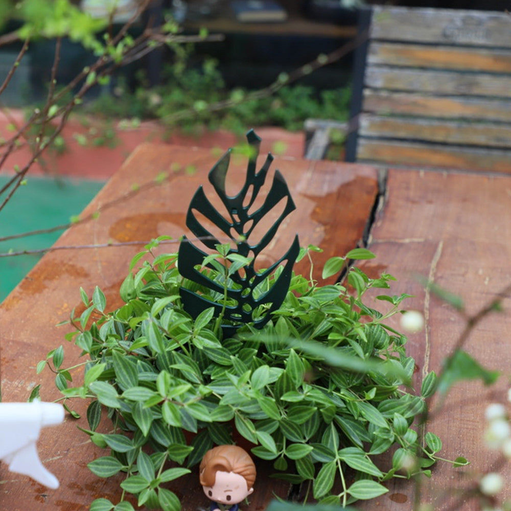 Trellis for Potted Plants Garden Trellis for Climbing Plants - The Grand Bazaar of Australia