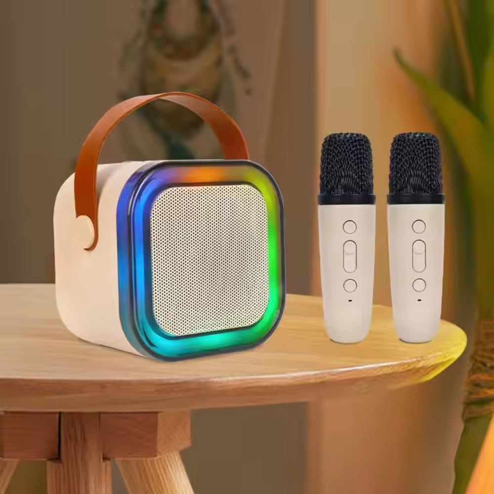 Professional Wireless Microphones Bluetooth Speaker - The Grand Bazaar of Australia