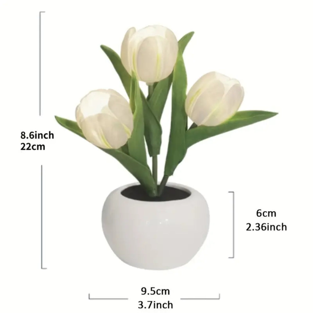 Tulip Table Lamp LED Bedside Lamp - The Grand Bazaar of Australia