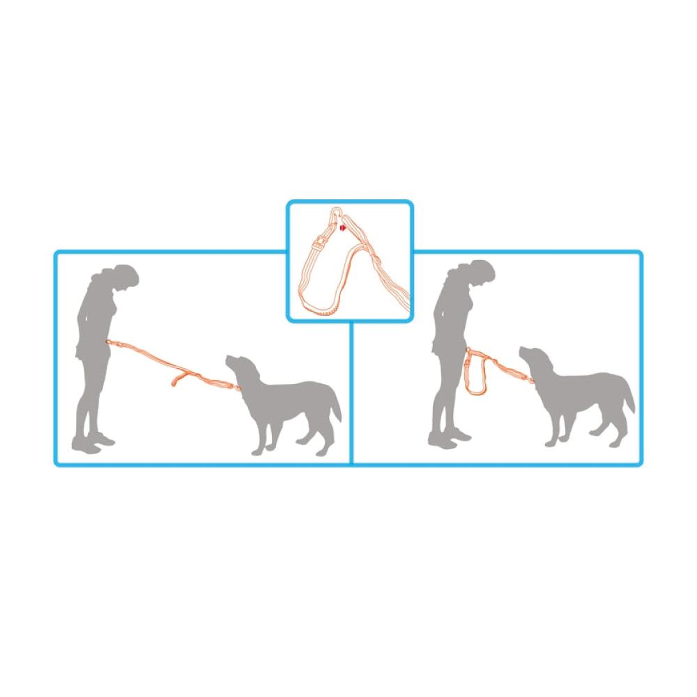 Jogging Dog Bungee Leash - Adjustable Waist Belt Bag + Hands Free Walking Lead - The Grand Bazaar of Australia