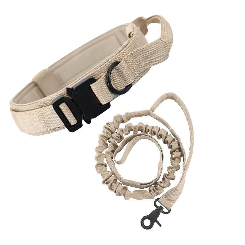 XL khaki Hands-Free Dog Leash with Adjustable Waist Belt - Shock Absorbing Bungee Lead - The Grand Bazaar of Australia